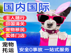 固原六盘山机场货运国际宠物托运 【国